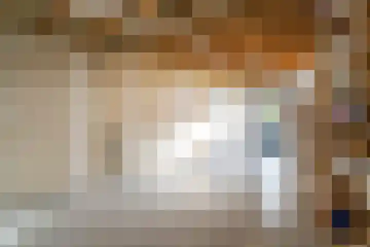 Slagharenerf 8 Tilburg thumbnail 41