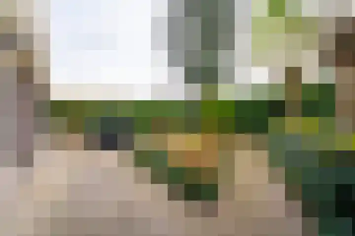 Slagharenerf 8 Tilburg thumbnail 43
