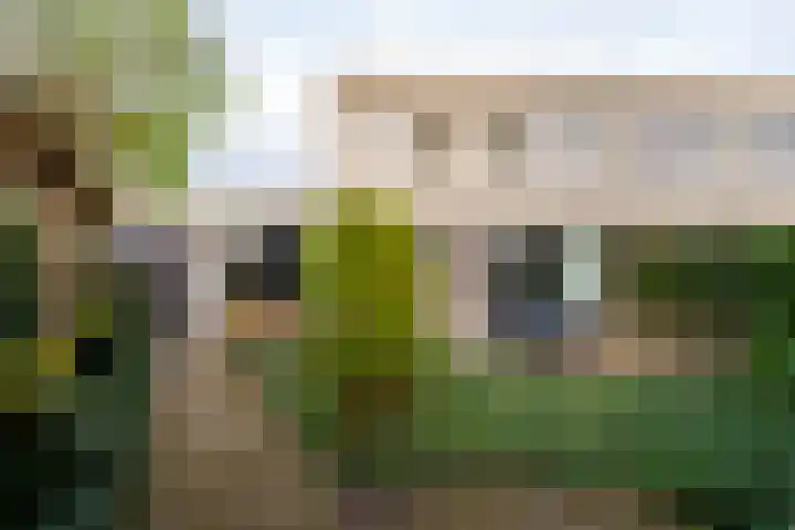 Slagharenerf 8 Tilburg thumbnail 44