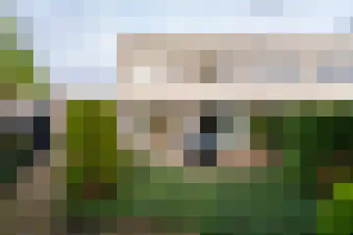 Slagharenerf 8 Tilburg thumbnail 45