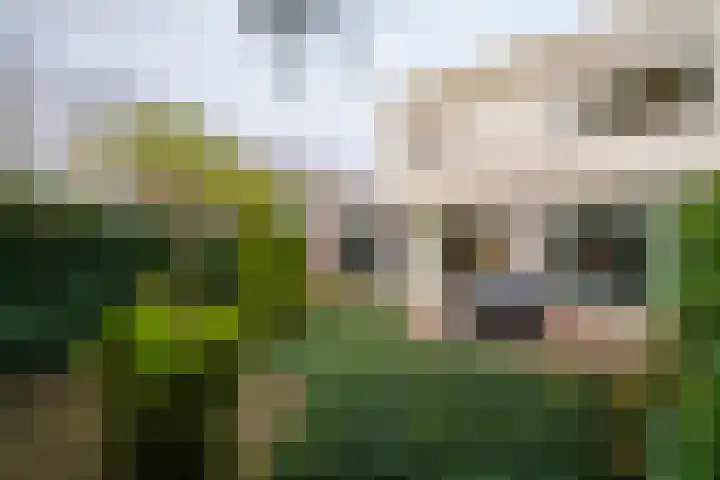 Slagharenerf 8 Tilburg thumbnail 46