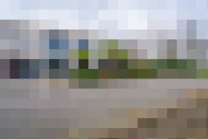 Slagharenerf 8 Tilburg thumbnail 49