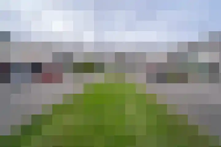 Slagharenerf 8 Tilburg thumbnail 50