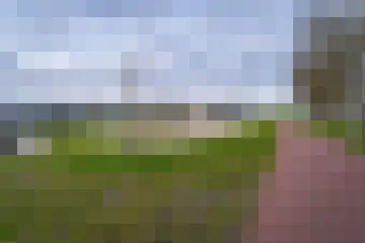 Slagharenerf 8 Tilburg thumbnail 51