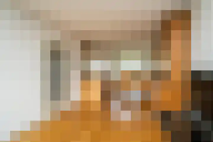Slagharenerf 8 Tilburg thumbnail 8