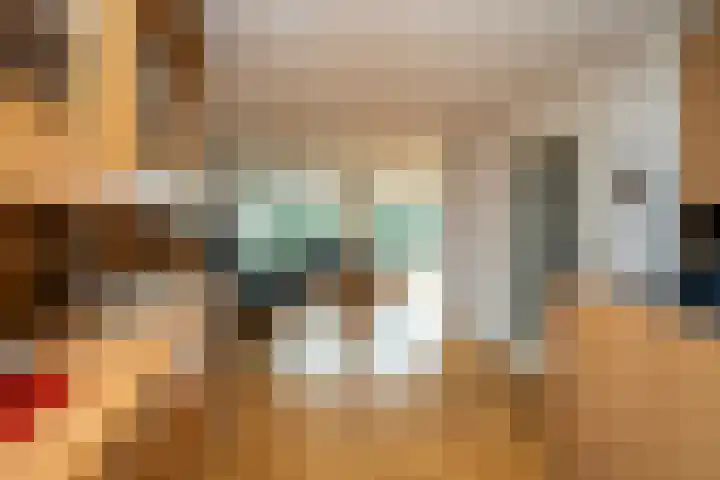 Slagharenerf 8 Tilburg thumbnail 9
