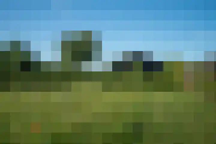 Slaghekkenweg 26 a Bentelo thumbnail 53