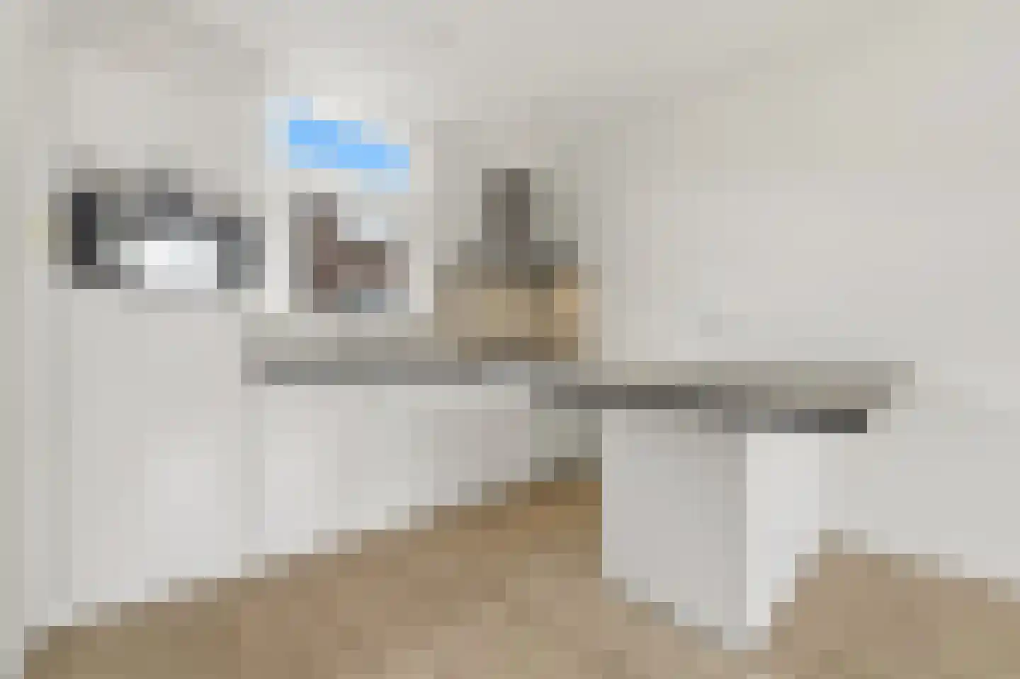 Slaghekstraat 200 A Rotterdam thumbnail 8