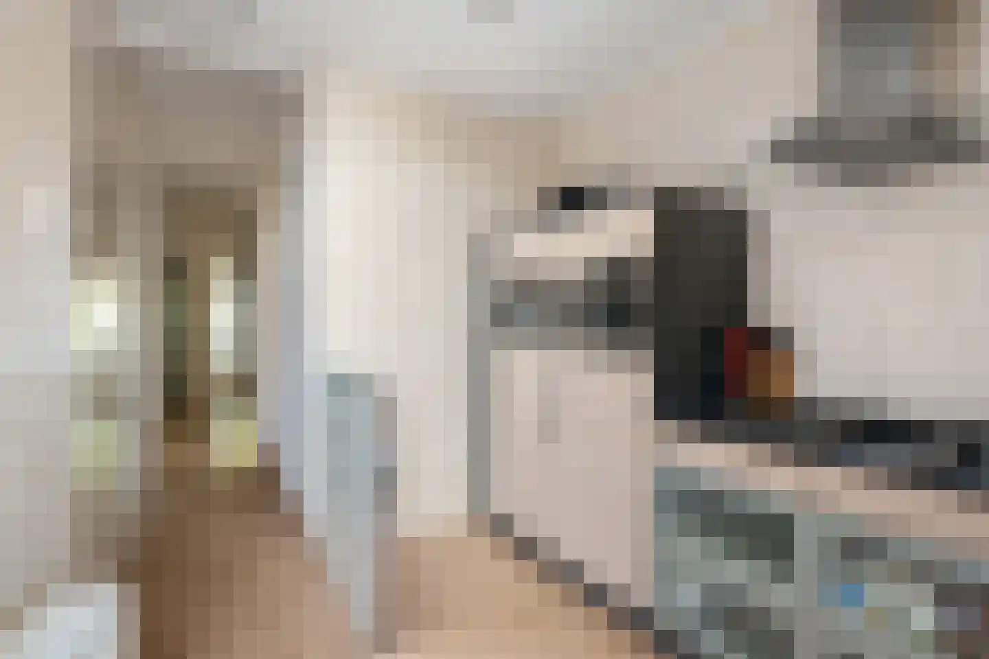 Slaghekstraat 204 Rotterdam thumbnail 18