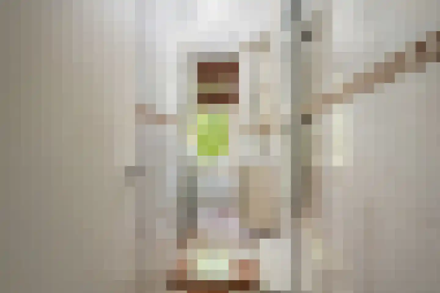 Slaghekstraat 204 Rotterdam thumbnail 24