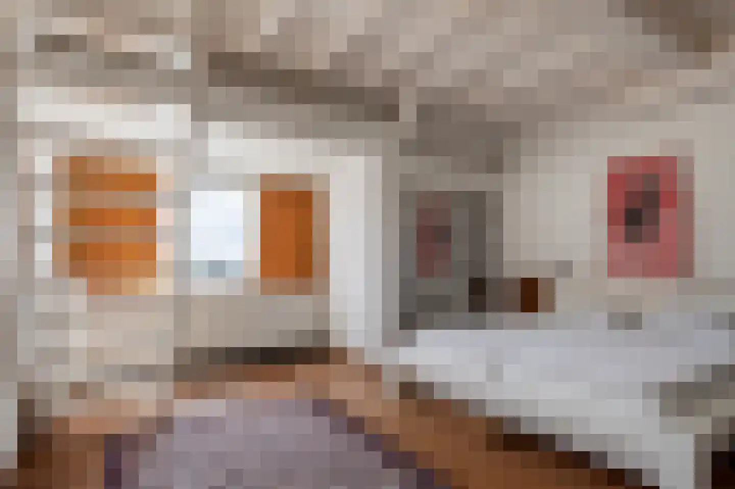 Slaghekstraat 75 B Rotterdam thumbnail 20