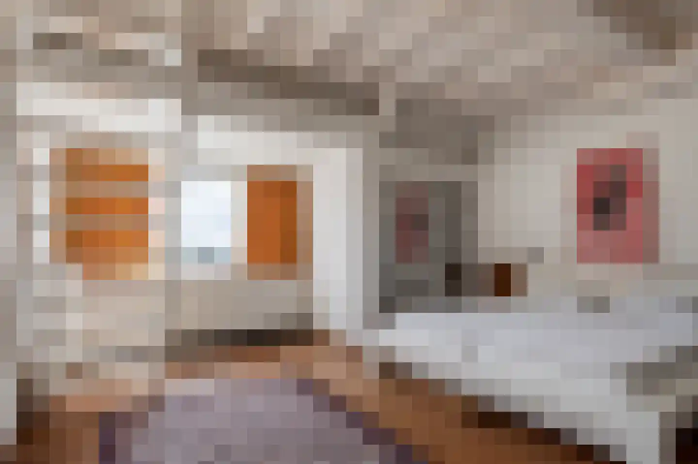 Slaghekstraat 75 D Rotterdam thumbnail 20