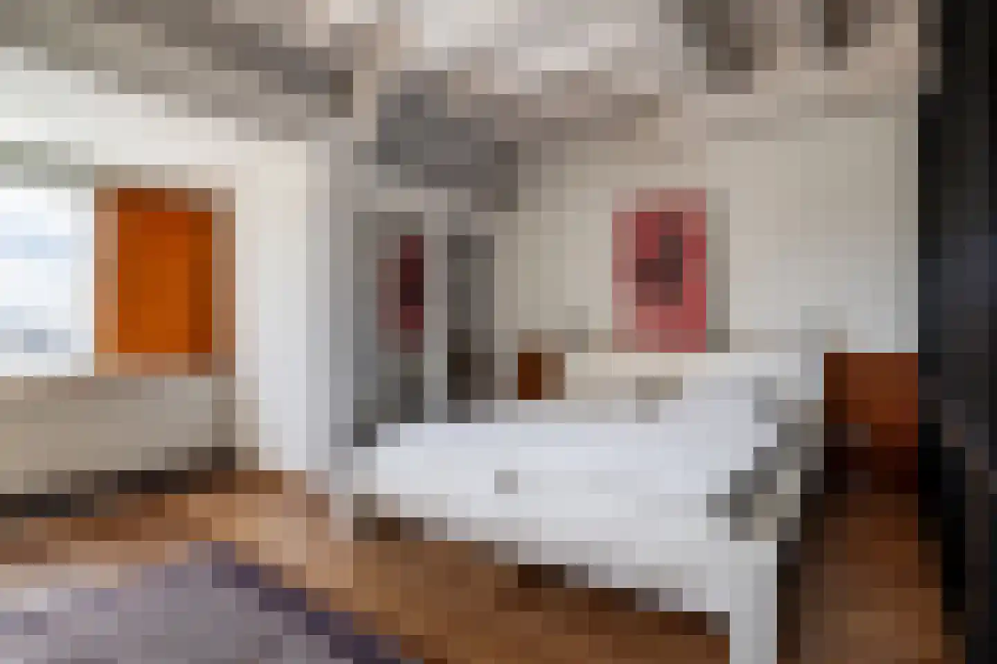 Slaghekstraat 75 D Rotterdam thumbnail 21