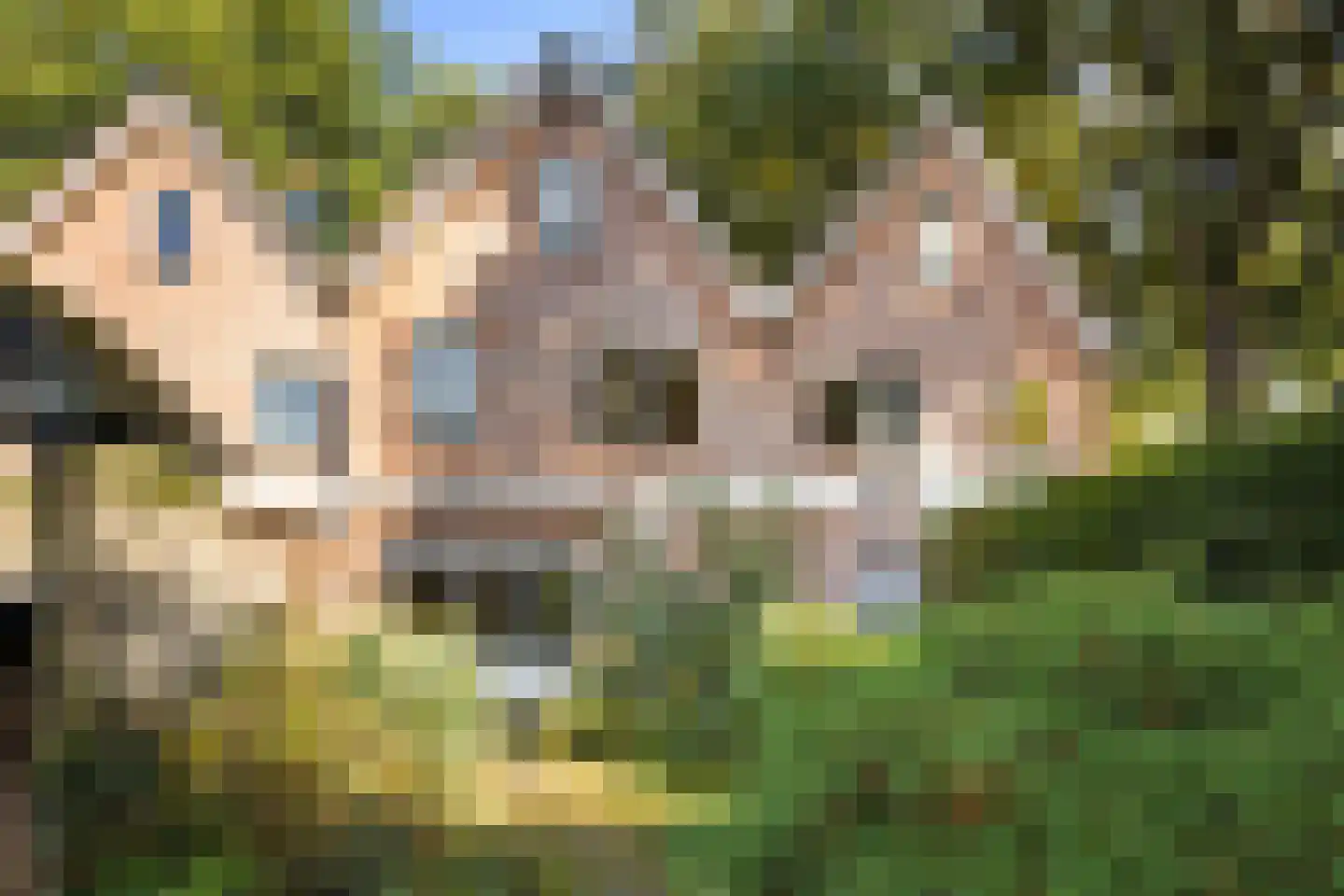 Slagmanweg 29 Enschede thumbnail 27