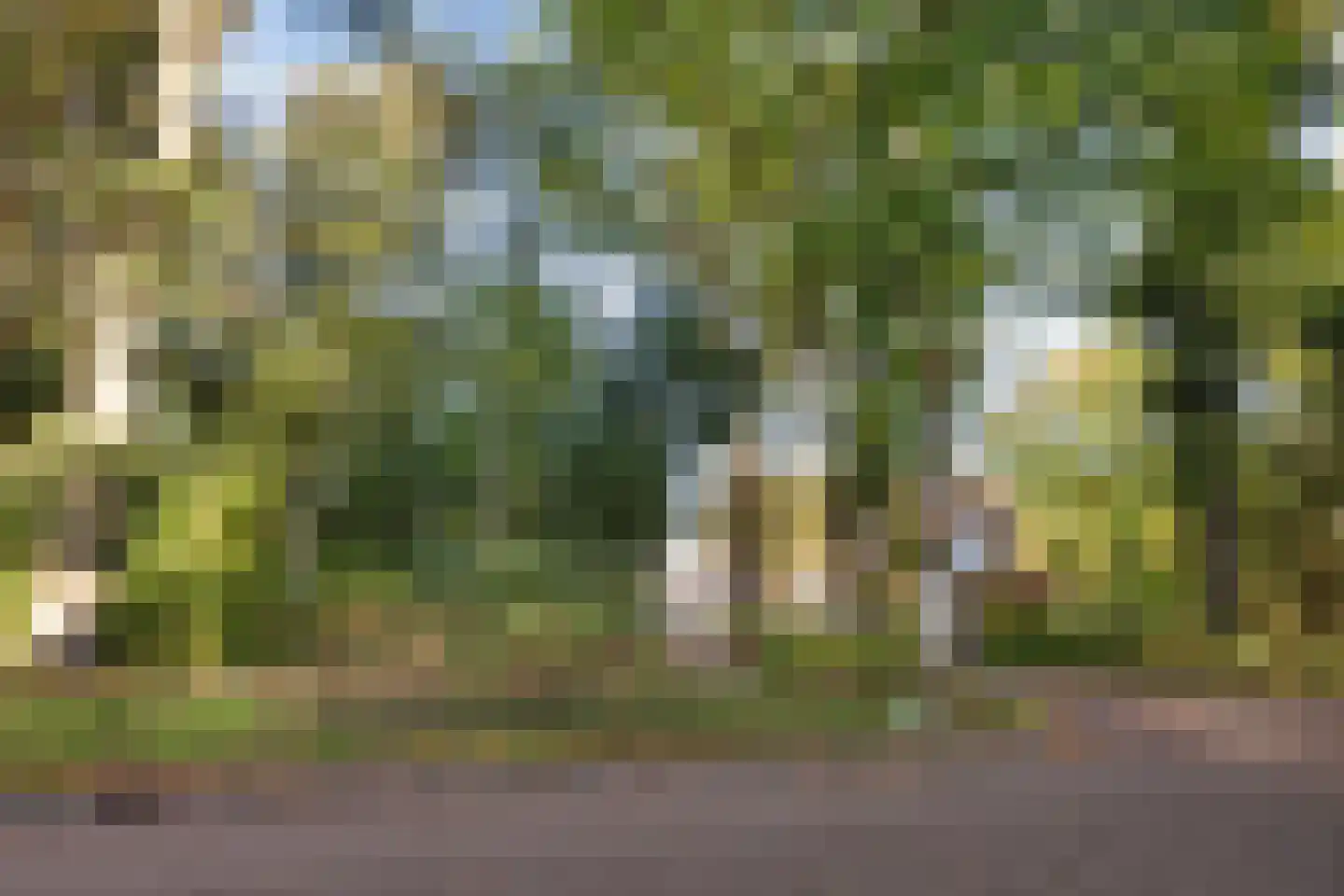 Slagmanweg 29 Enschede thumbnail 31