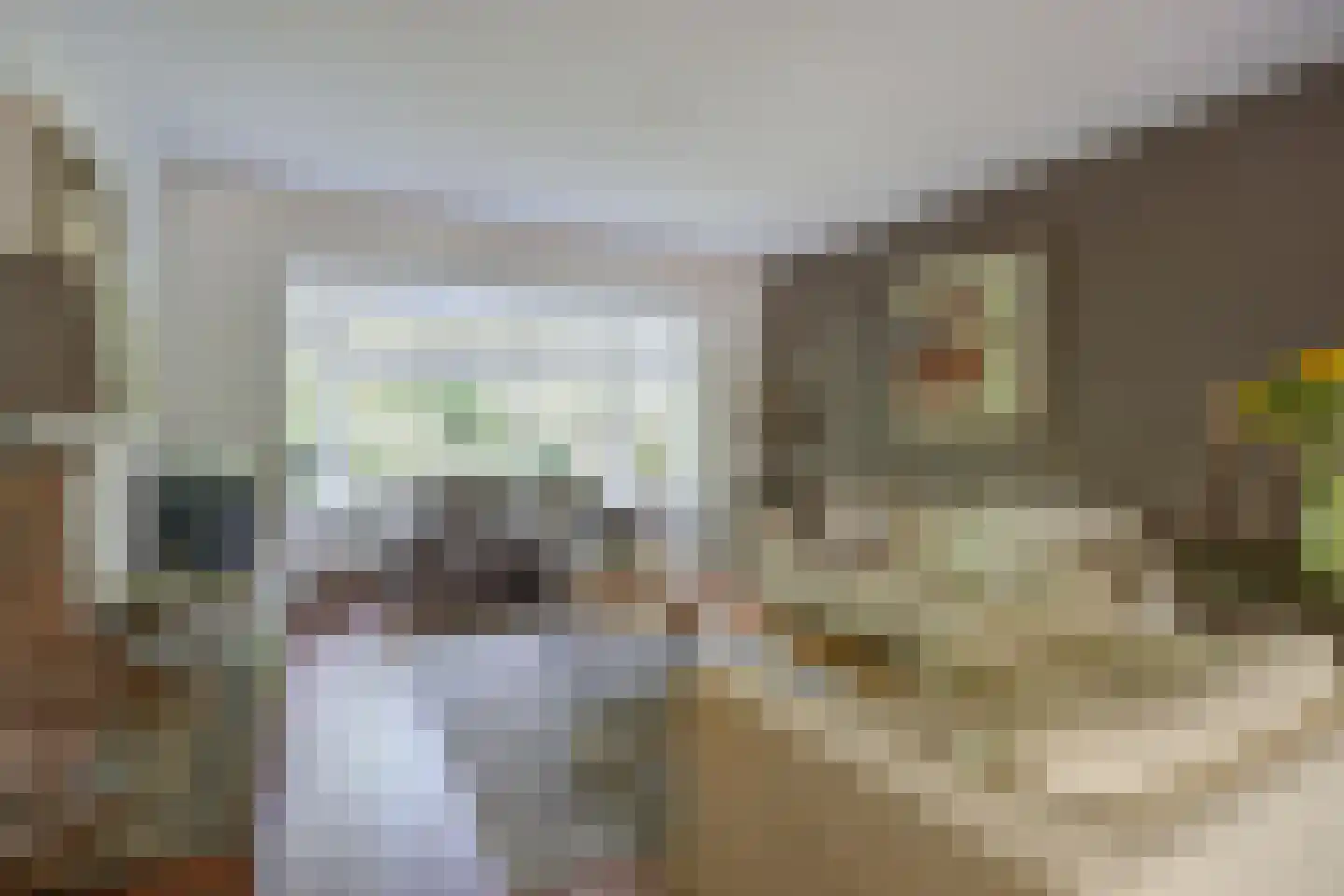 Slagmoer 1 Oudenbosch thumbnail 10