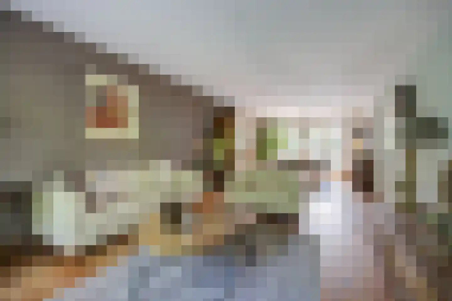Slagmoer 1 Oudenbosch thumbnail 12