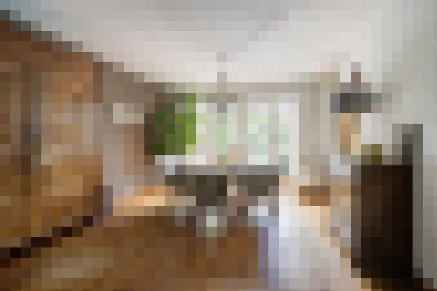 Slagmoer 1 Oudenbosch thumbnail 13