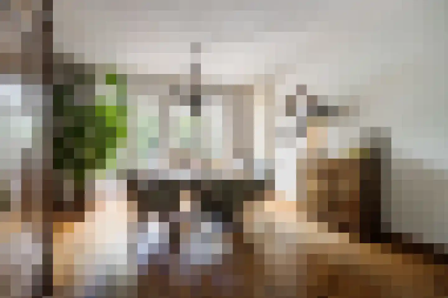 Slagmoer 1 Oudenbosch thumbnail 14