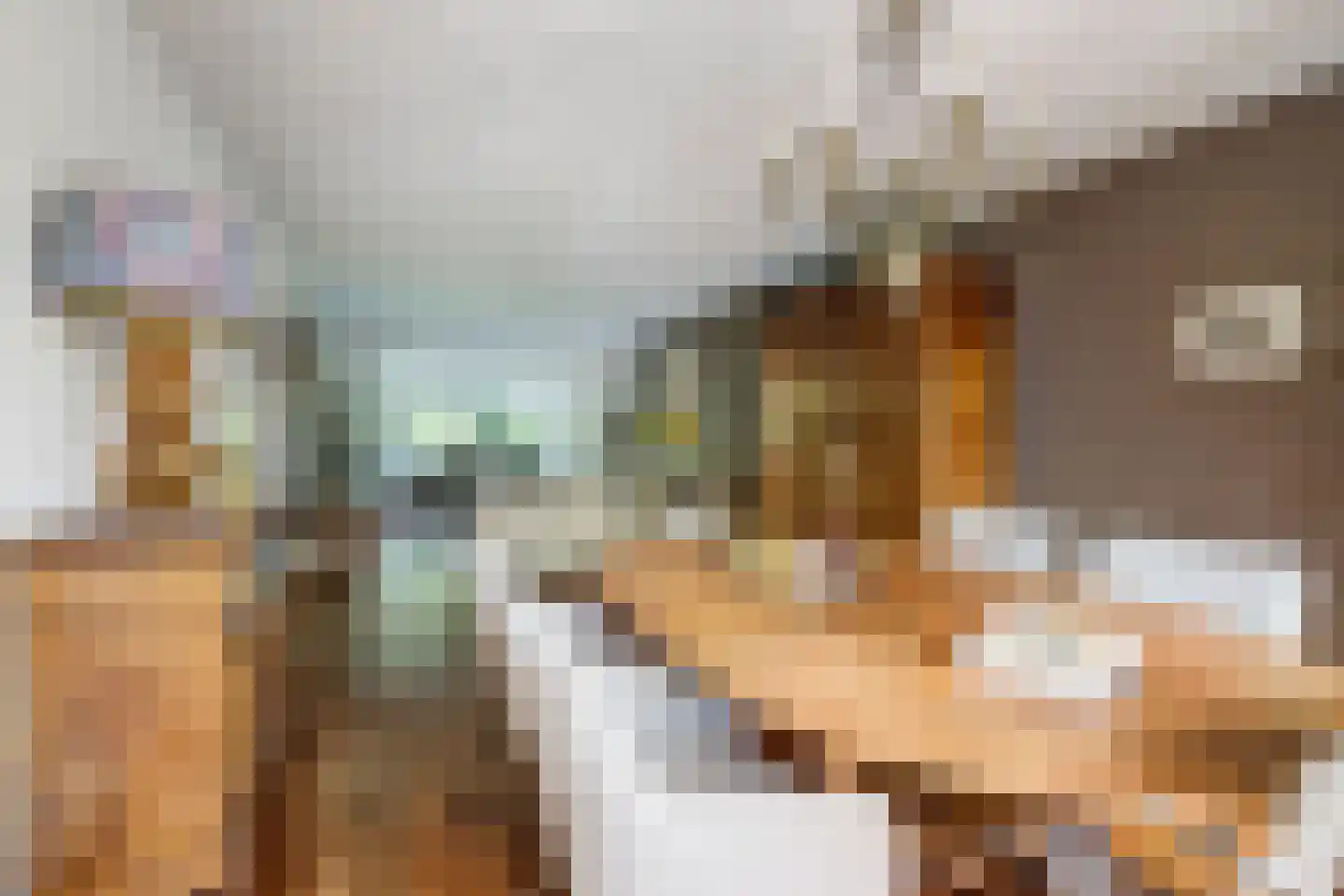 Slagmoer 1 Oudenbosch thumbnail 15