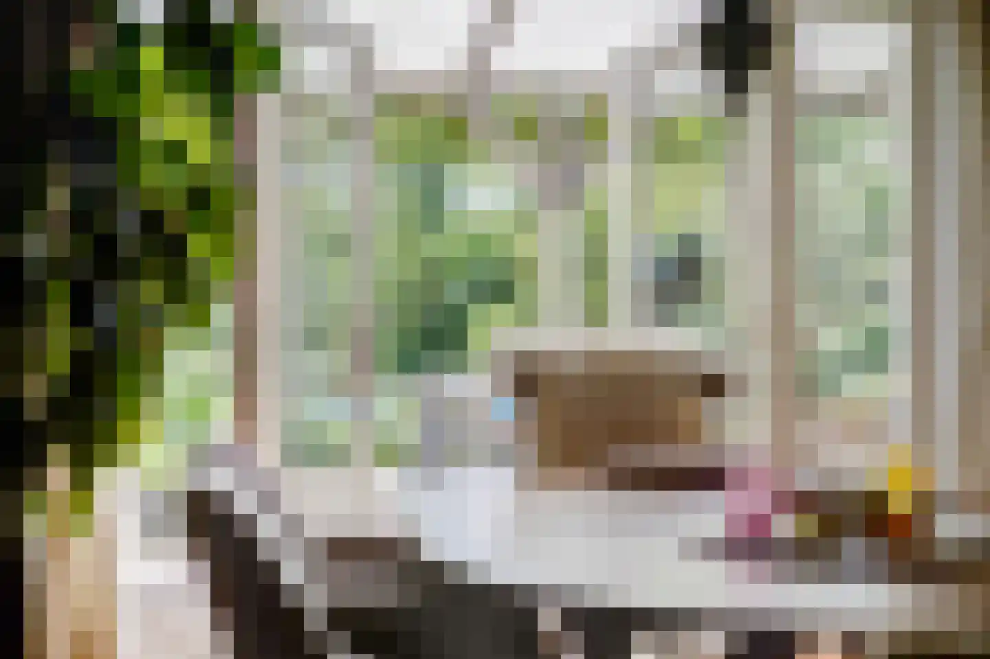 Slagmoer 1 Oudenbosch thumbnail 16