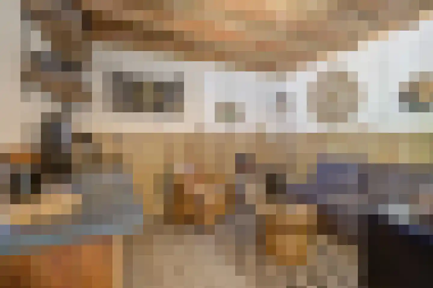 Slagmoer 1 Oudenbosch thumbnail 23