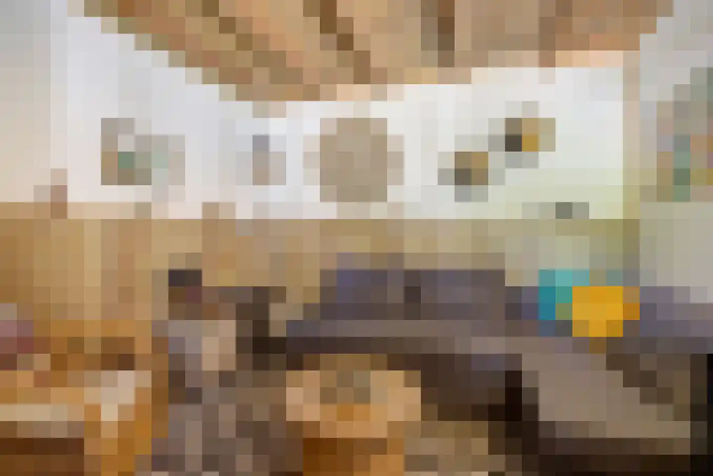 Slagmoer 1 Oudenbosch thumbnail 24