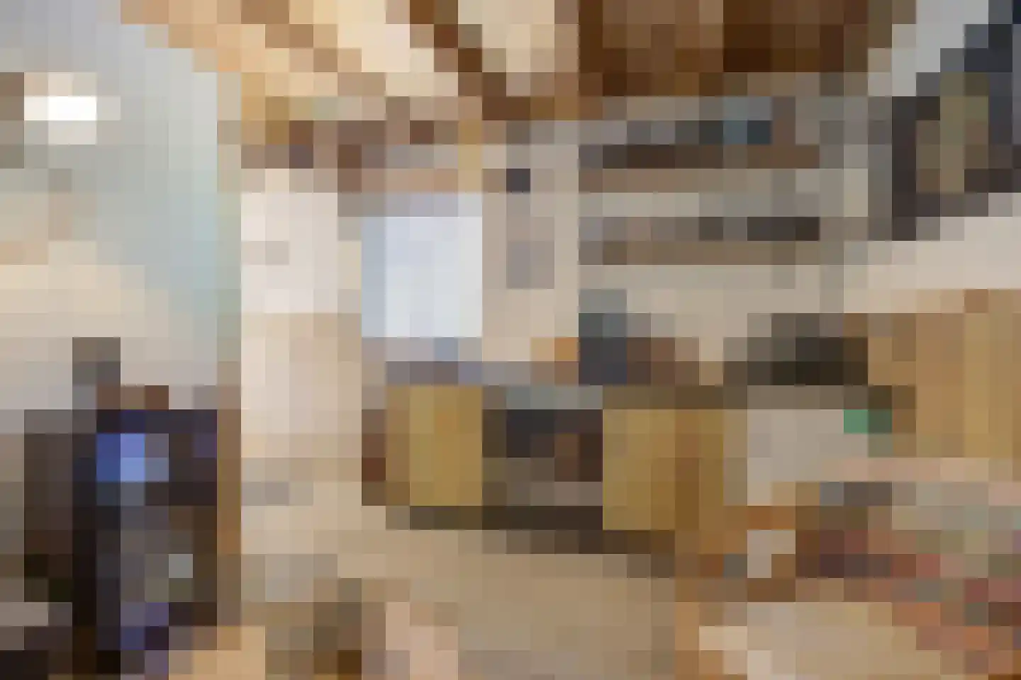 Slagmoer 1 Oudenbosch thumbnail 25