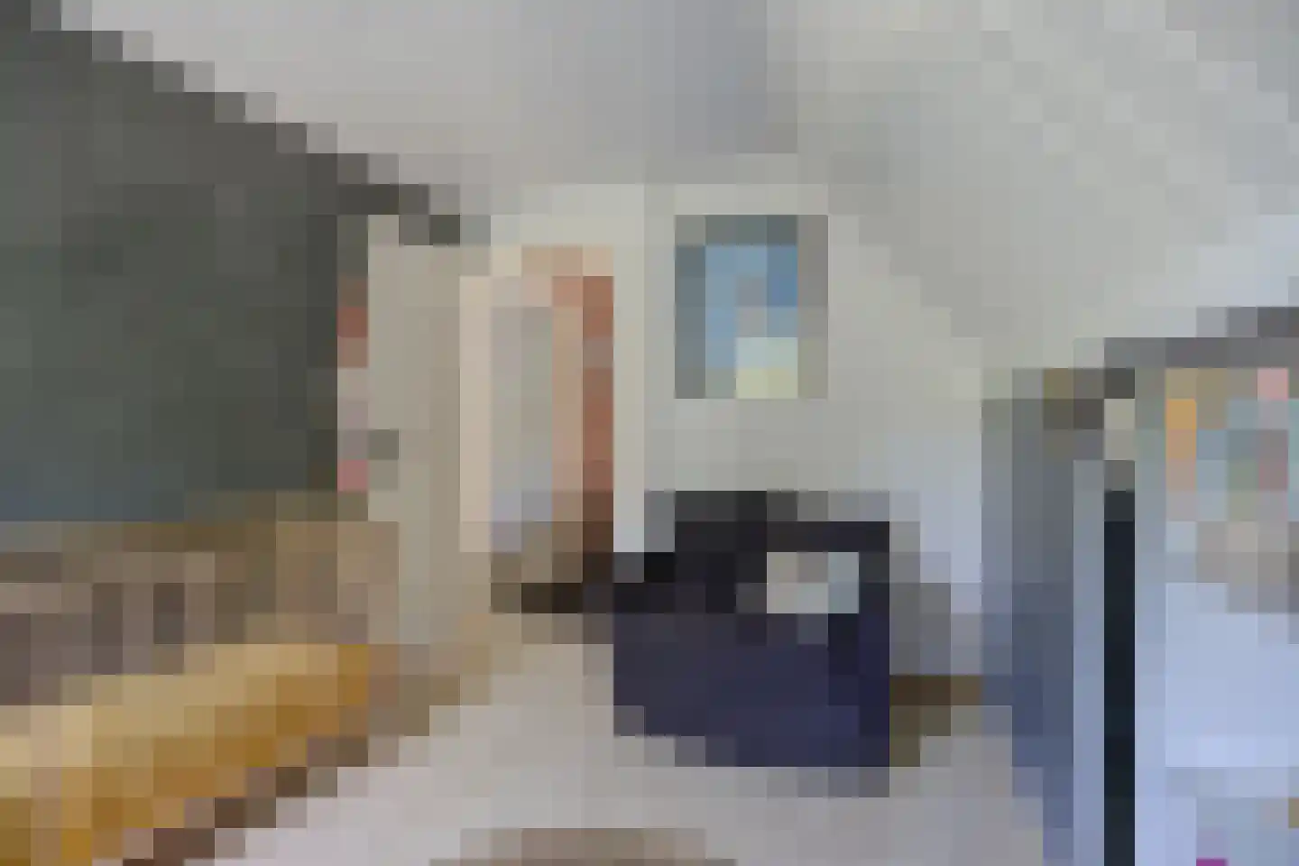 Slagmoer 1 Oudenbosch thumbnail 31
