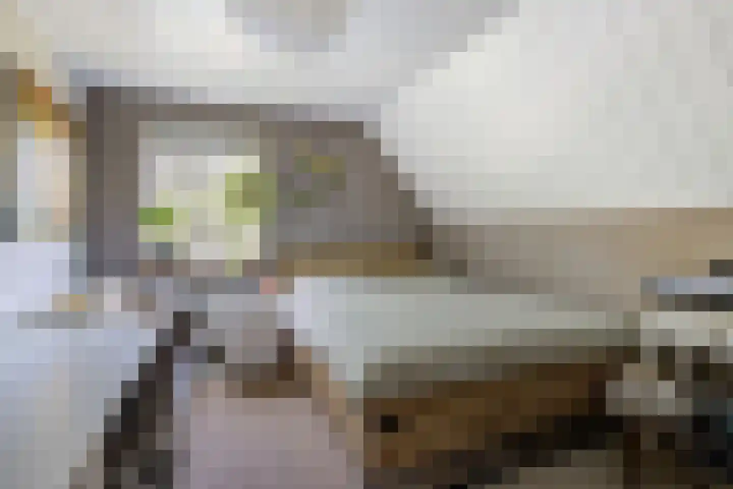 Slagmoer 1 Oudenbosch thumbnail 32