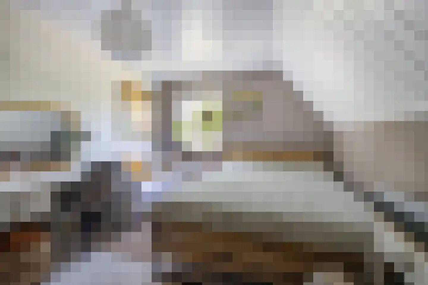 Slagmoer 1 Oudenbosch thumbnail 33