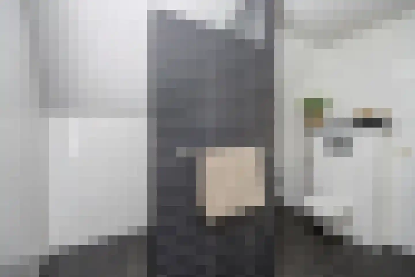 Slagmoer 1 Oudenbosch thumbnail 37