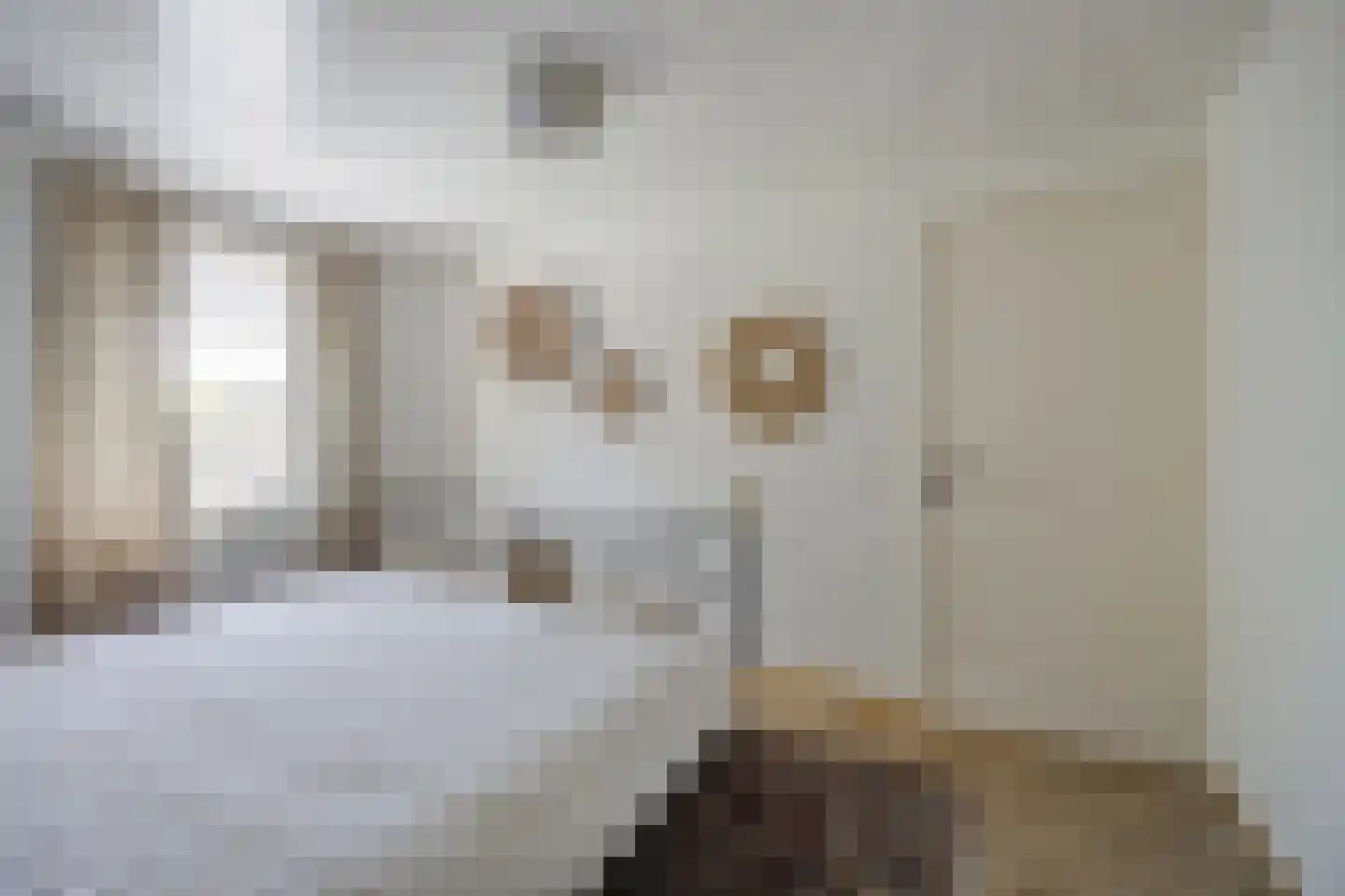 Slagmoer 1 Oudenbosch thumbnail 40
