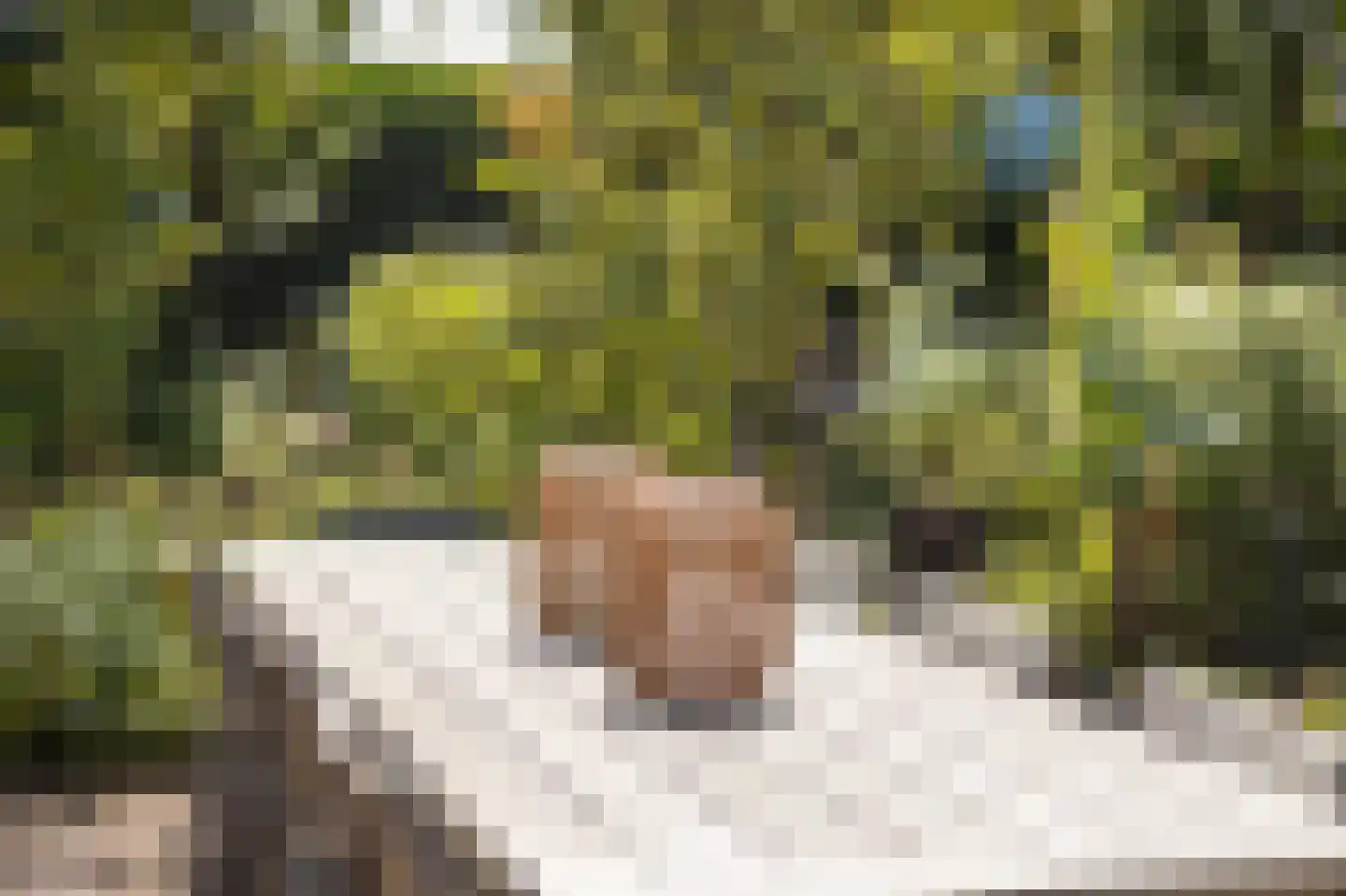 Slagmoer 1 Oudenbosch thumbnail 45