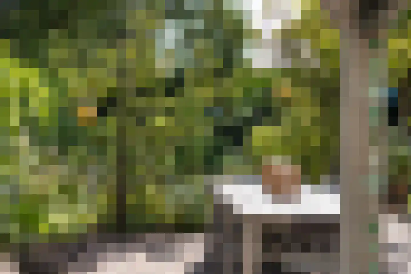 Slagmoer 1 Oudenbosch thumbnail 46
