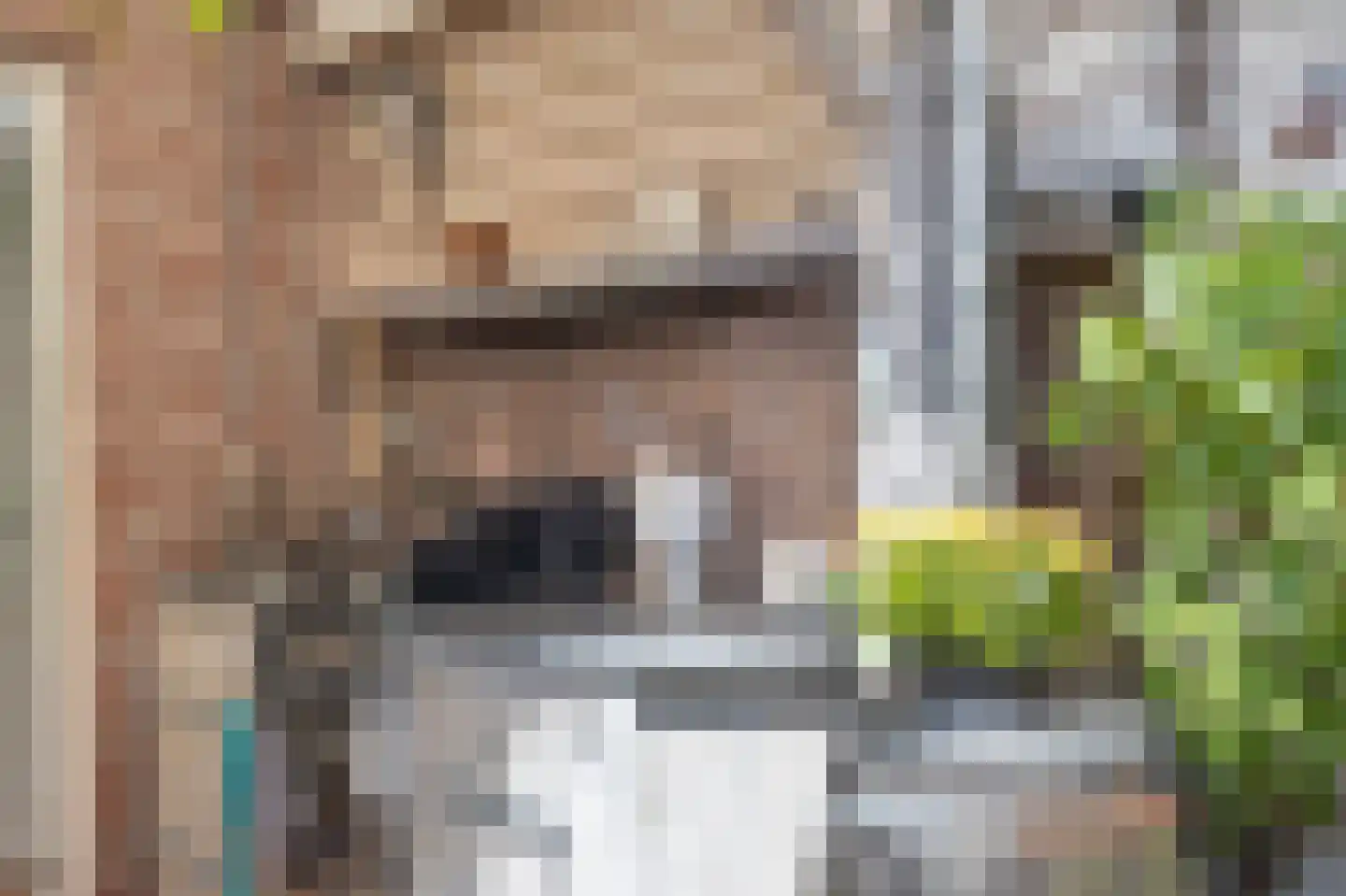 Slagmoer 1 Oudenbosch thumbnail 48