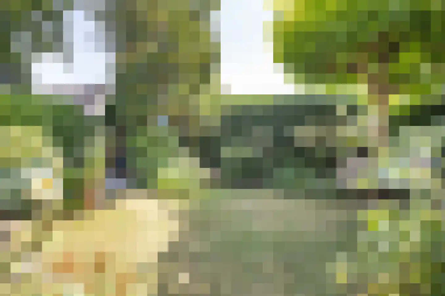 Slagmoer 1 Oudenbosch thumbnail 49