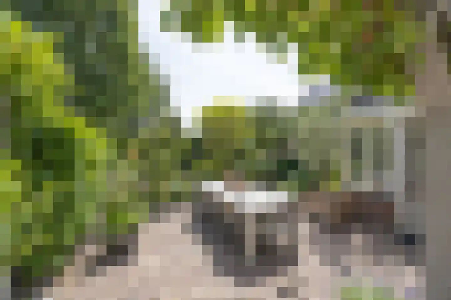 Slagmoer 1 Oudenbosch thumbnail 5