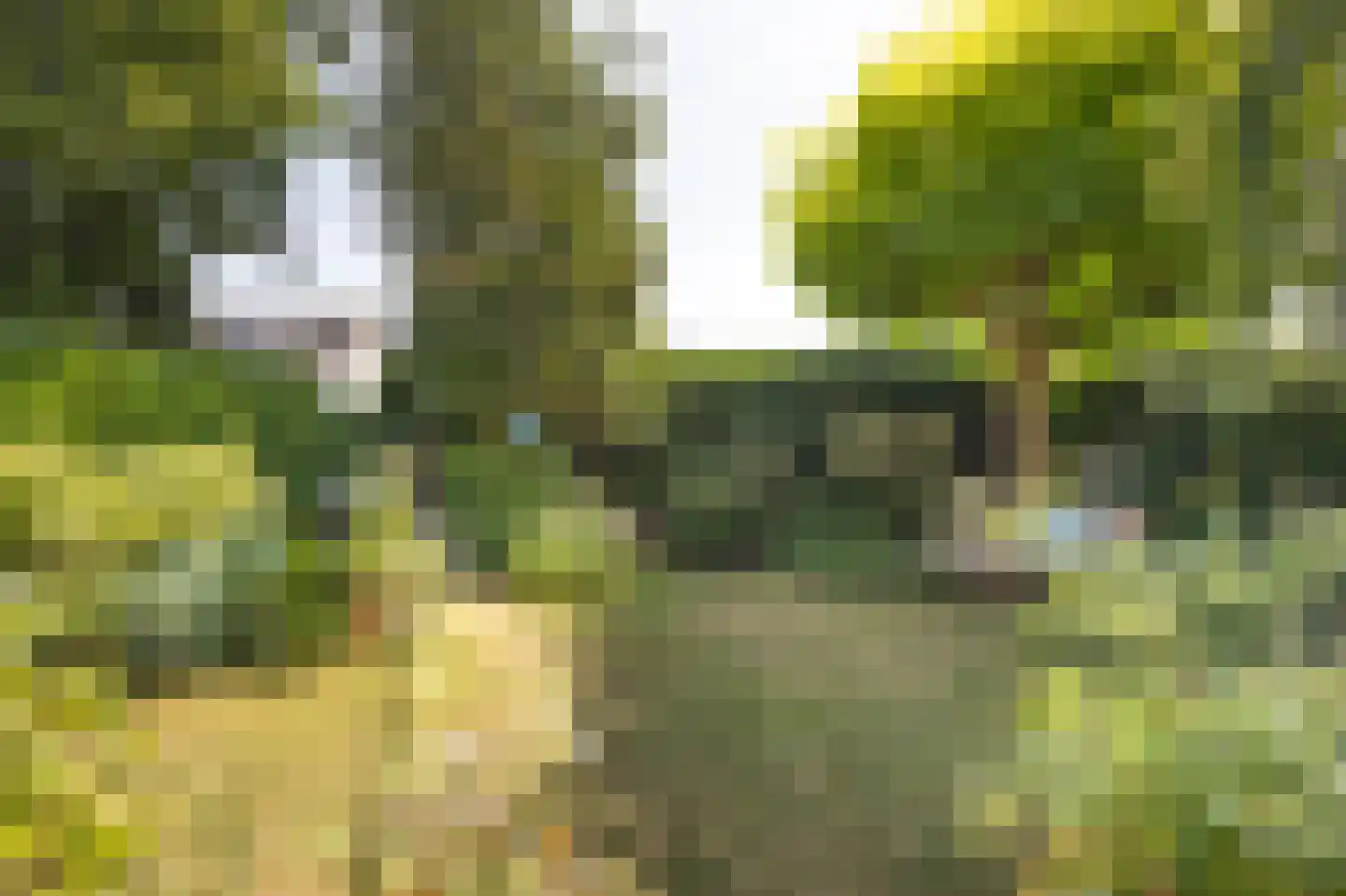 Slagmoer 1 Oudenbosch thumbnail 52