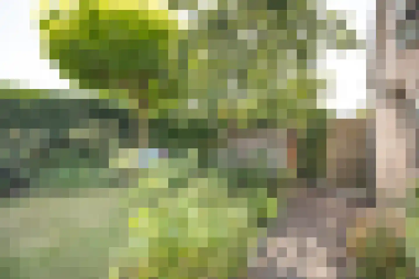 Slagmoer 1 Oudenbosch thumbnail 57