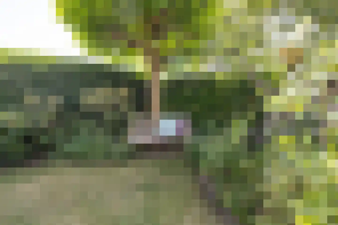 Slagmoer 1 Oudenbosch thumbnail 58