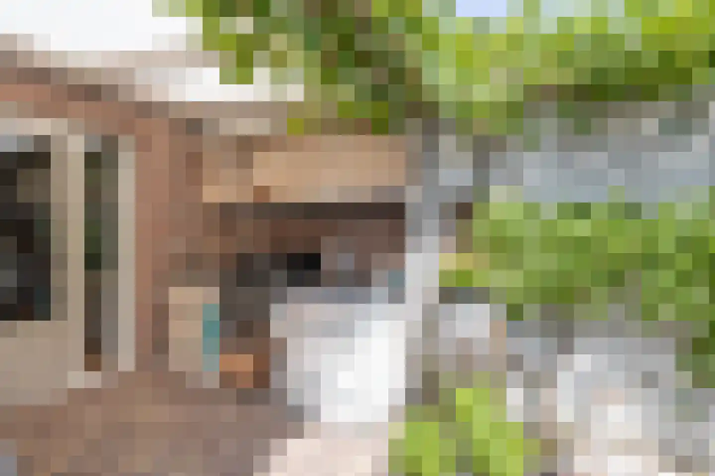 Slagmoer 1 Oudenbosch thumbnail 62