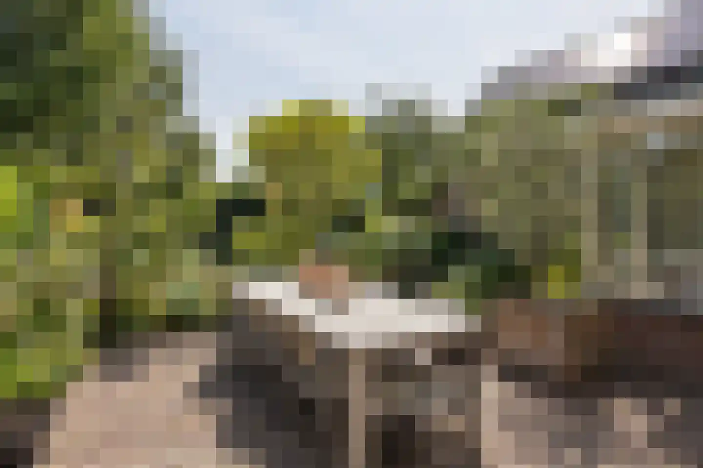 Slagmoer 1 Oudenbosch thumbnail 63