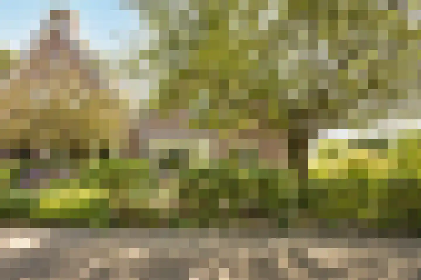 Slagmoer 1 Oudenbosch thumbnail 70