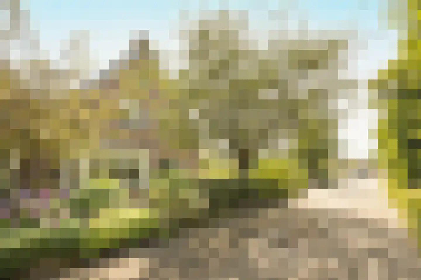 Slagmoer 1 Oudenbosch thumbnail 71