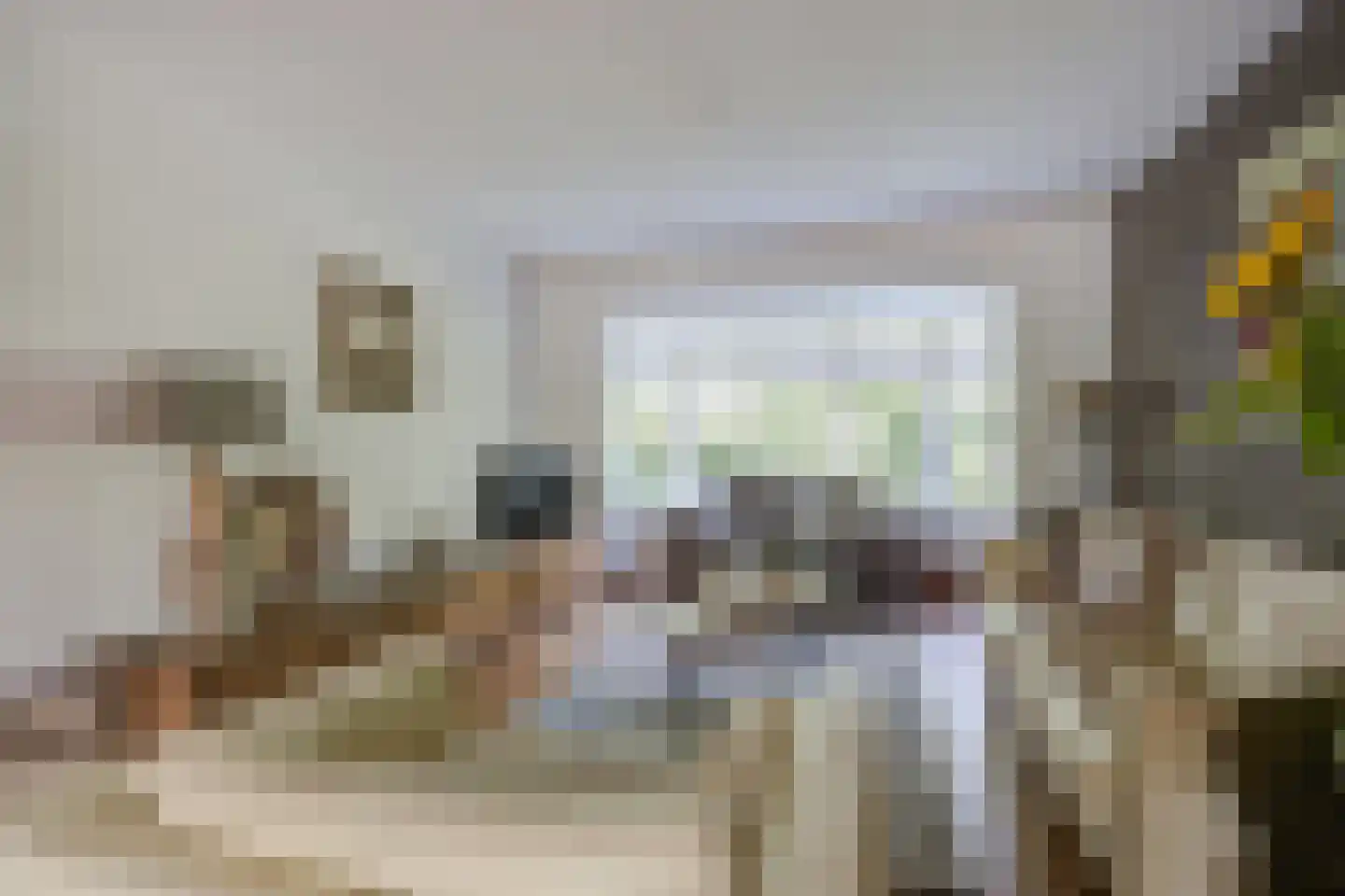 Slagmoer 1 Oudenbosch thumbnail 9