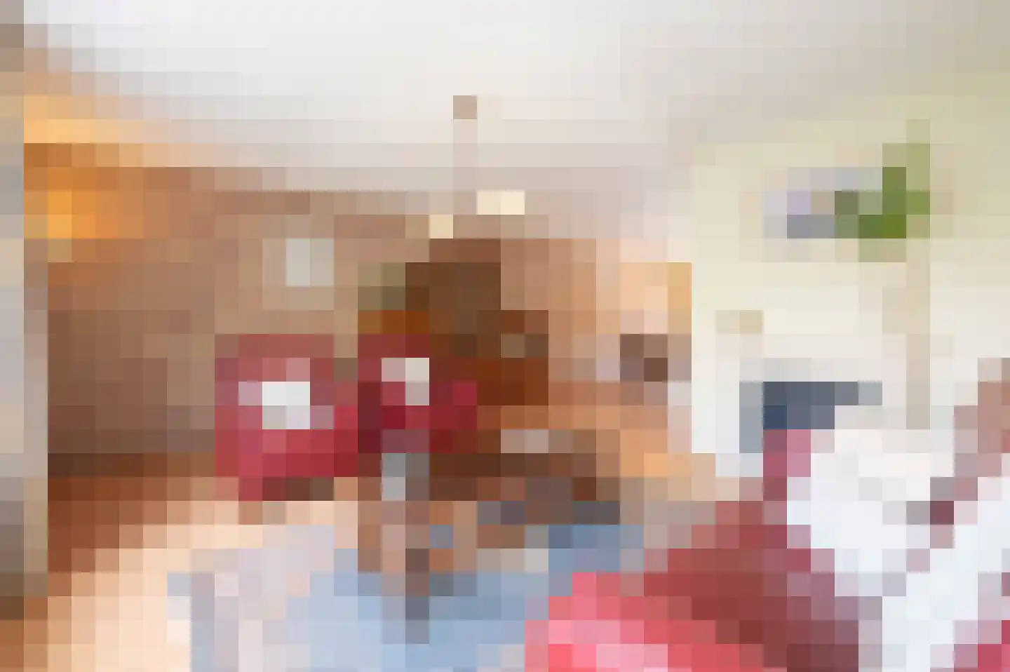 Slagmoer 36 Oudenbosch thumbnail 11