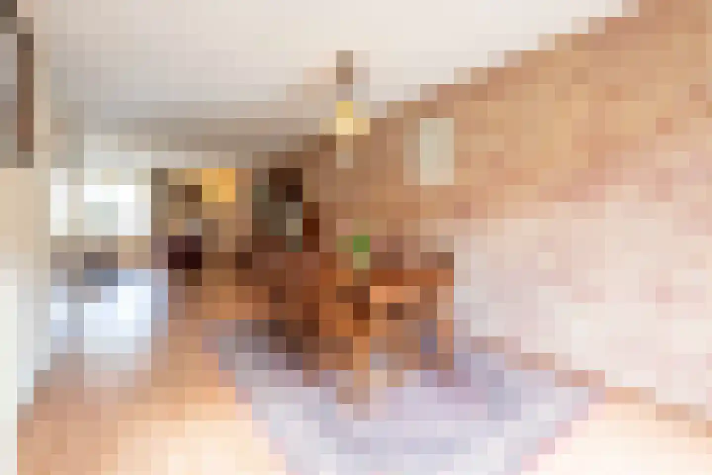 Slagmoer 36 Oudenbosch thumbnail 13