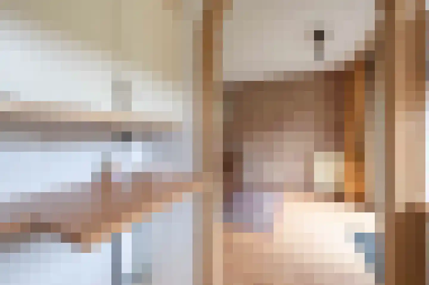 Slagmoer 36 Oudenbosch thumbnail 17