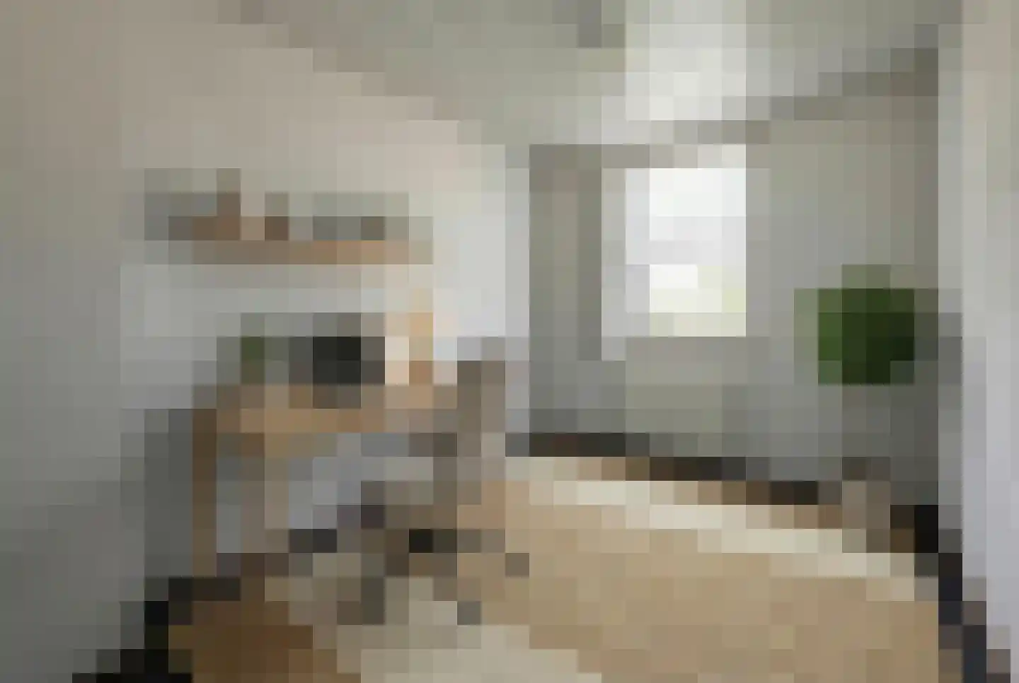 Slagmoer 36 Oudenbosch thumbnail 31
